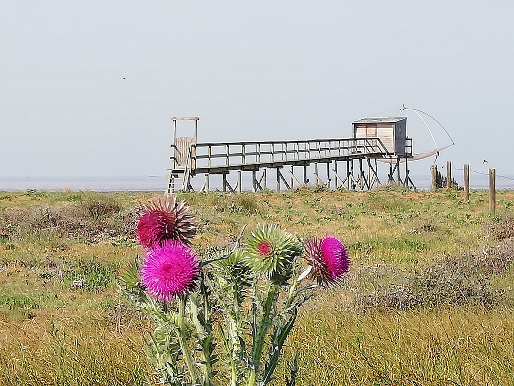 Pêcherie sur la plage aux alentours d'Alliance Pornic